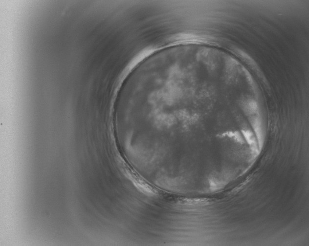 X0000080101427200612301906