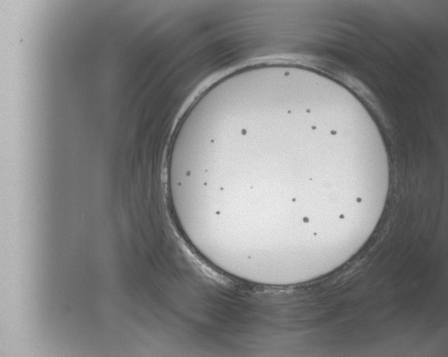 X0000080101428200612301906