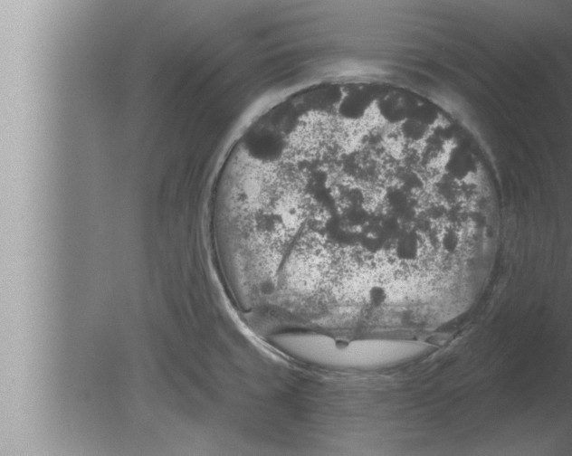 X0000080101429200612301906