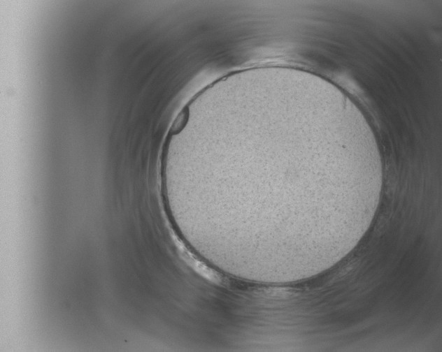 X0000080101431200612301906