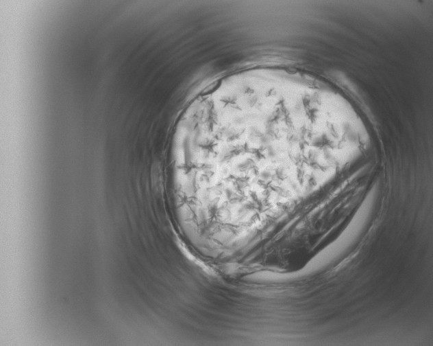 X0000080101433200612301906