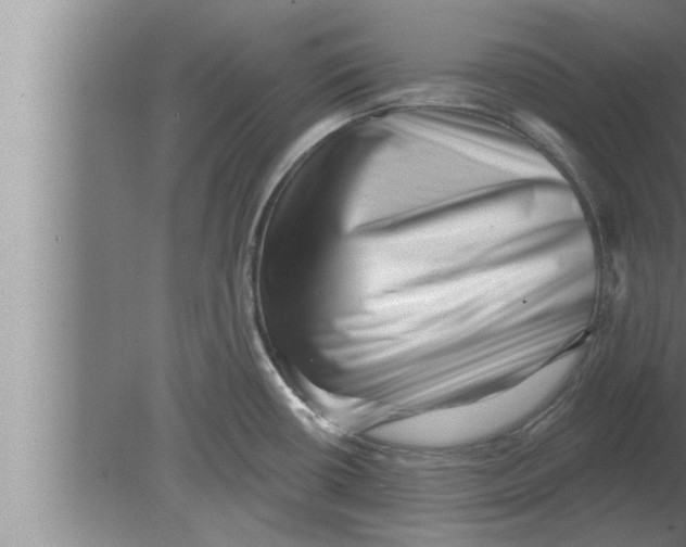 X0000080101434200612301906