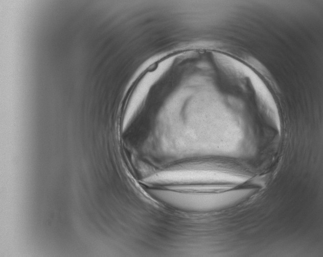 X0000080101436200612301906