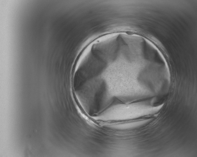 X0000080101439200612301906