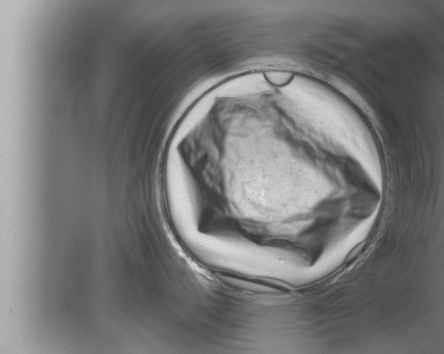 X0000080101440200612301906