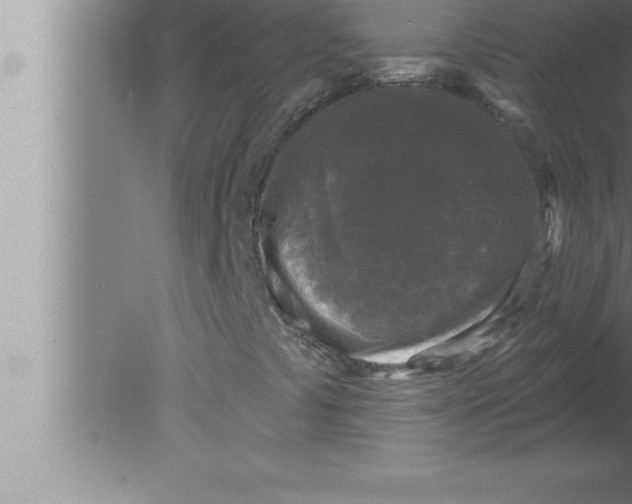 X0000080101441200612301906