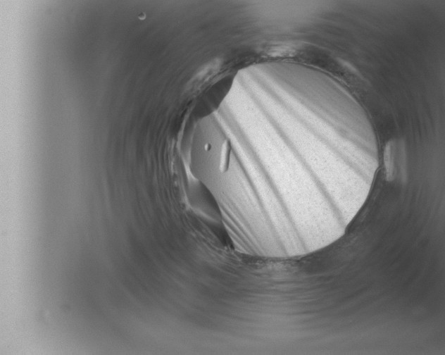 X0000080101443200612301906