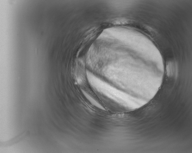 X0000080101444200612301906