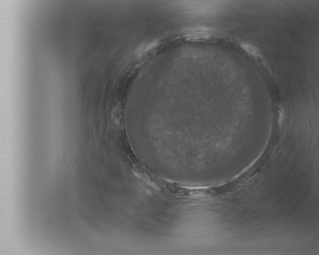 X0000080101445200612301906