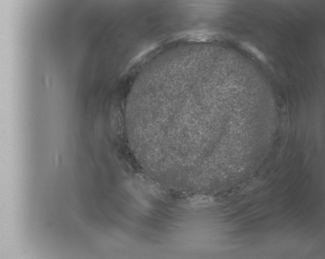 X0000080101446200612301906