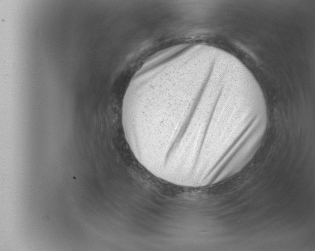 X0000080101447200612301905