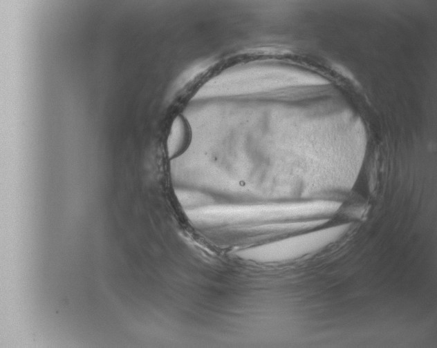 X0000080101448200612301905