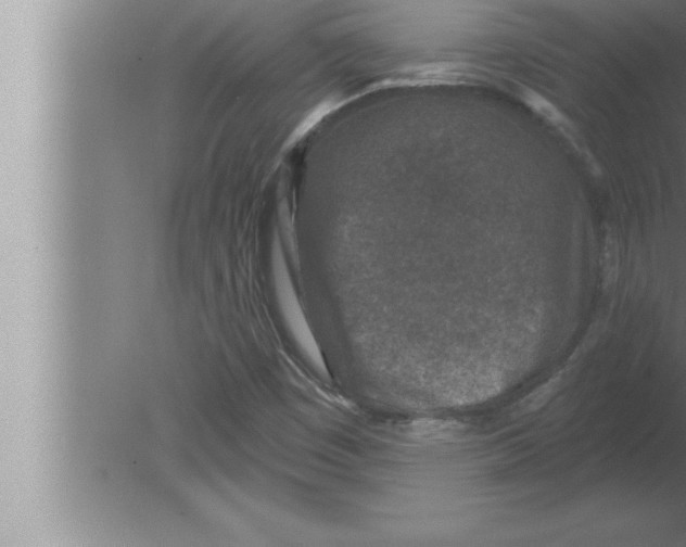 X0000080101449200612301905