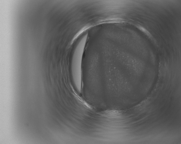 X0000080101450200612301905