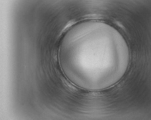 X0000080101451200612301905