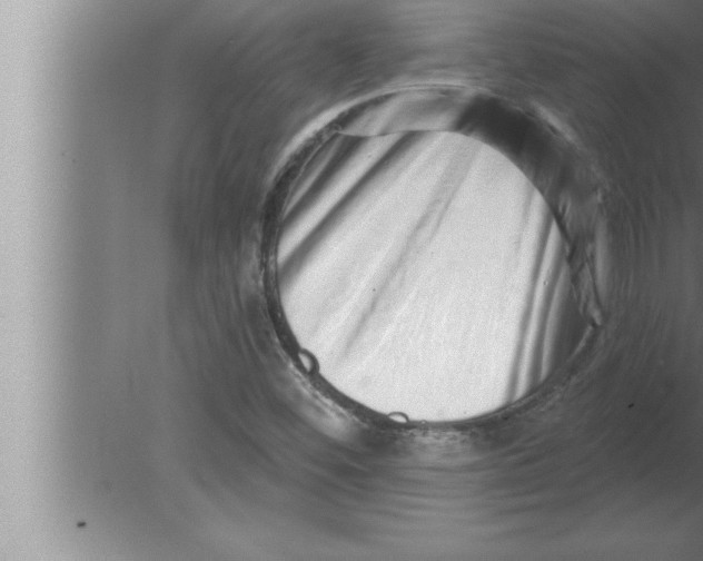 X0000080101452200612301905