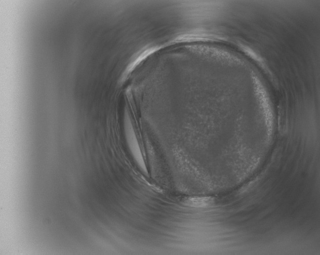 X0000080101453200612301905