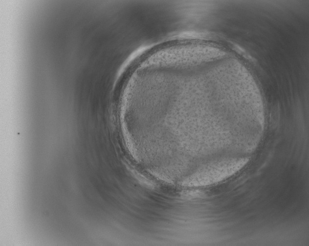 X0000080101454200612301905