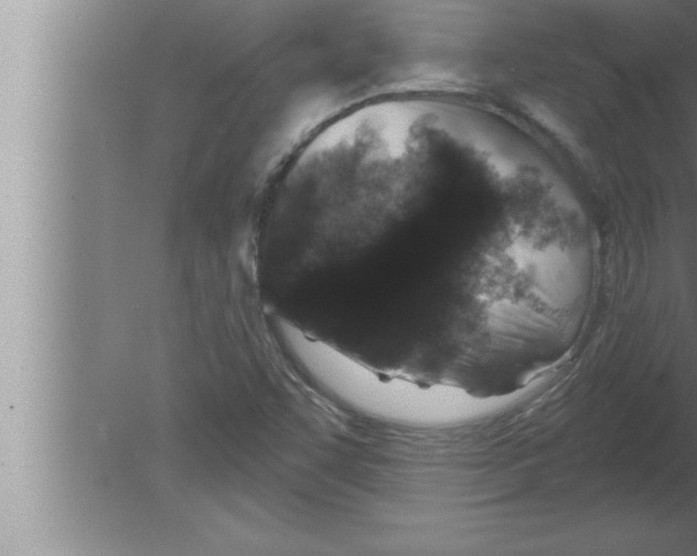 X0000080101455200612301905