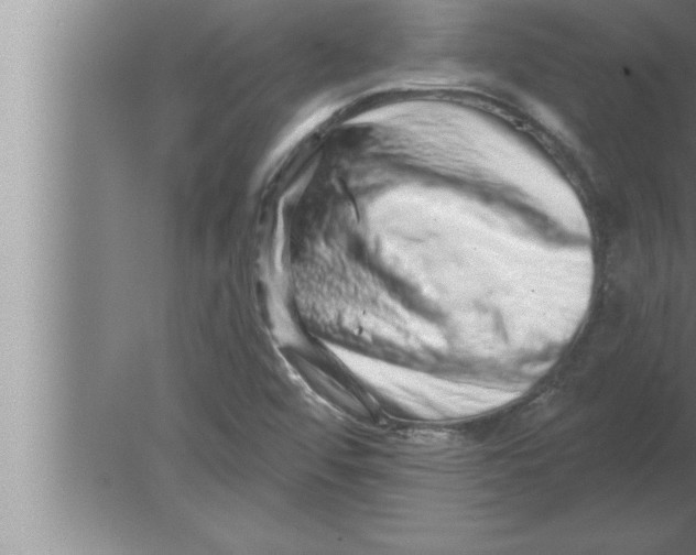 X0000080101456200612301905