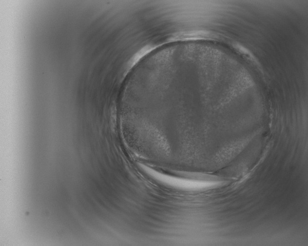 X0000080101457200612301905