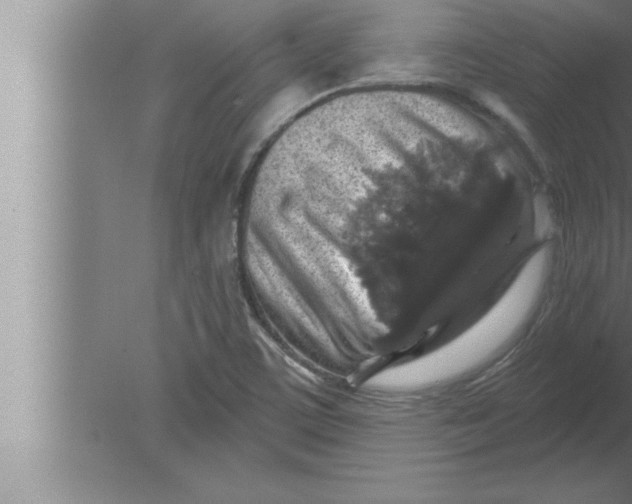 X0000080101459200612301905