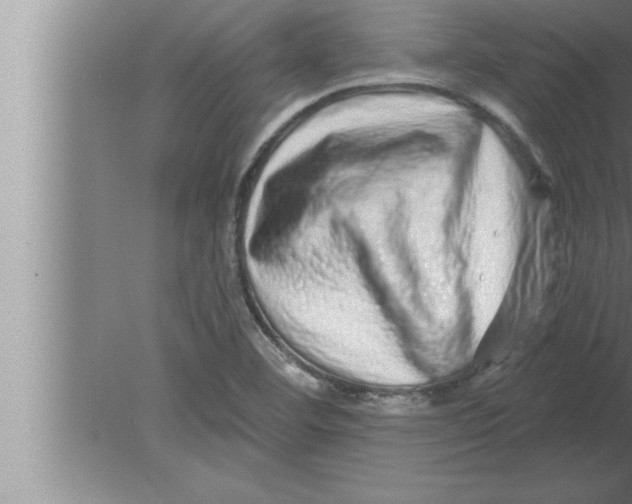 X0000080101460200612301905