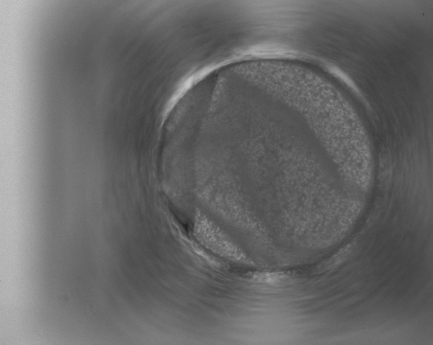 X0000080101461200612301905