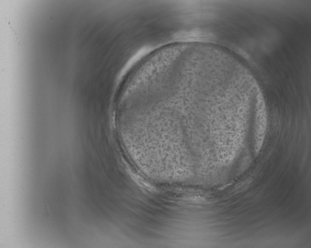 X0000080101462200612301905