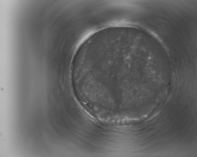 X0000080101463200612301905