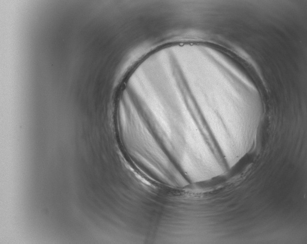 X0000080101464200612301905