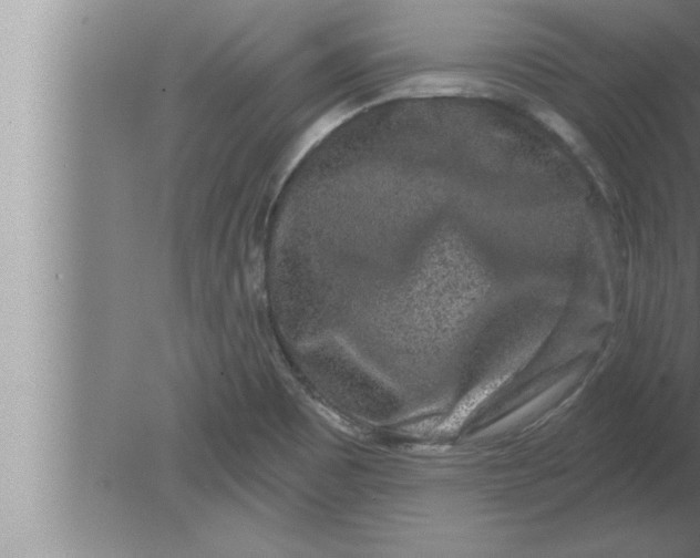 X0000080101465200612301905