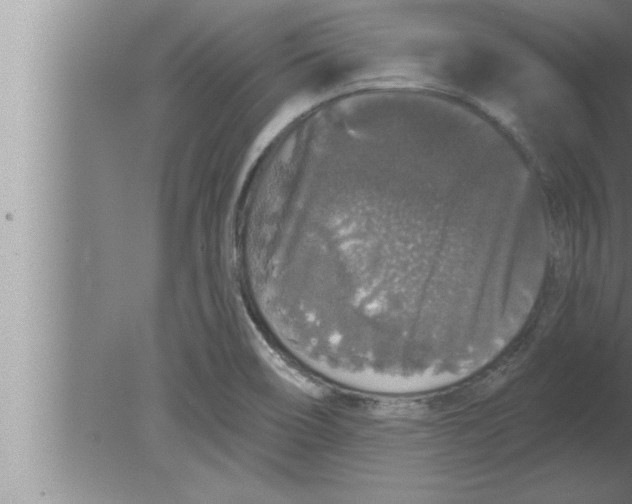 X0000080101466200612301905