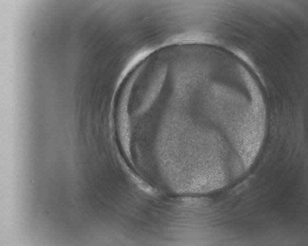 X0000080101469200612301905