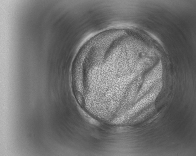 X0000080101471200612301905