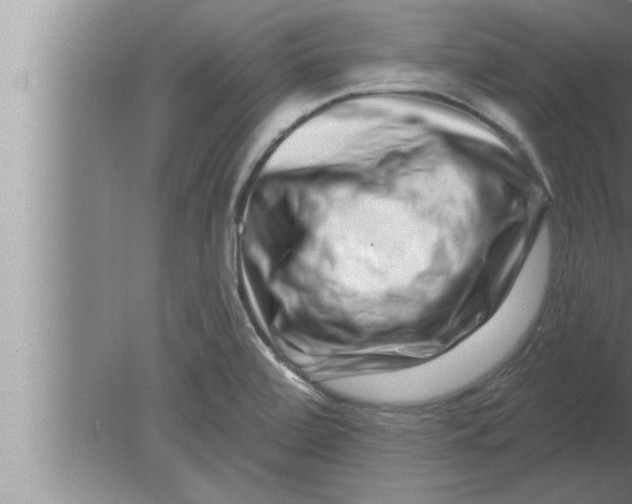 X0000080101472200612301905