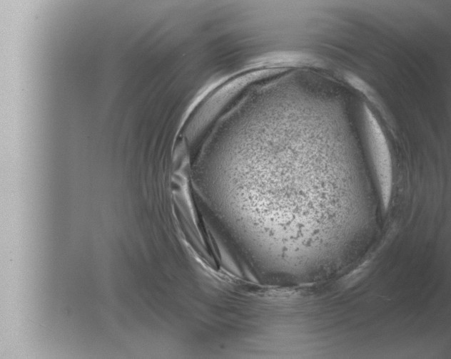 X0000080101473200612301905