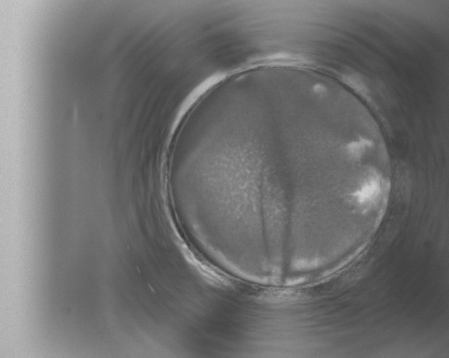 X0000080101474200612301905