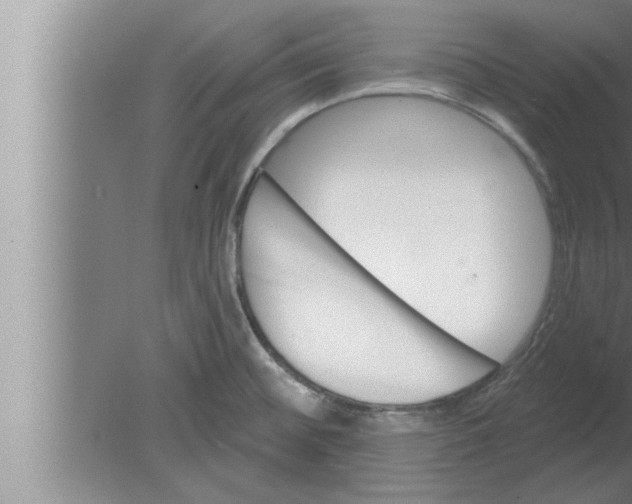 X0000080101476200612301905