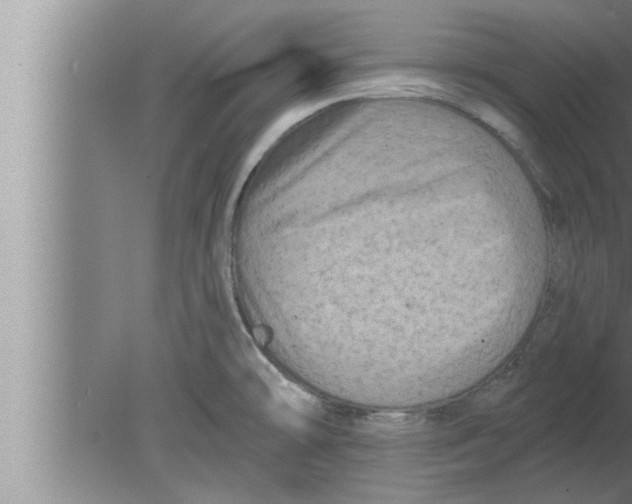 X0000080101478200612301905