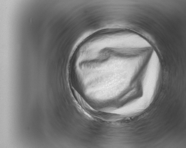 X0000080101480200612301905