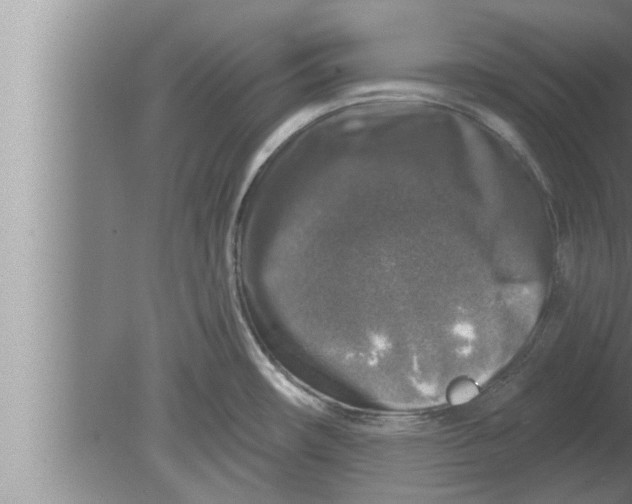 X0000080101482200612301905