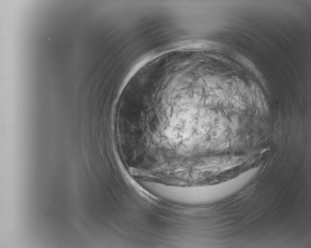 X0000080101483200612301905