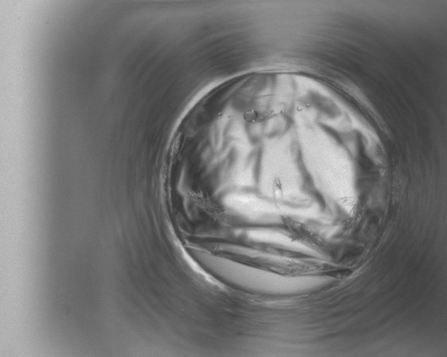 X0000080101484200612301905