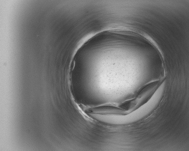 X0000080101485200612301905