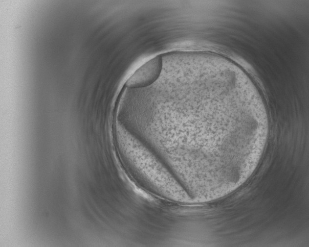 X0000080101486200612301905