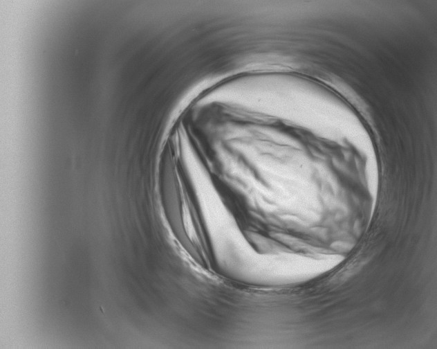 X0000080101488200612301905