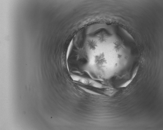 X0000080101490200612301904