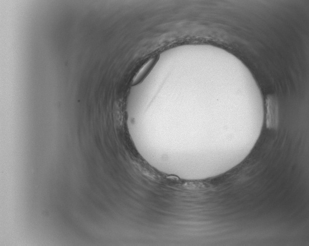 X0000080101491200612301904