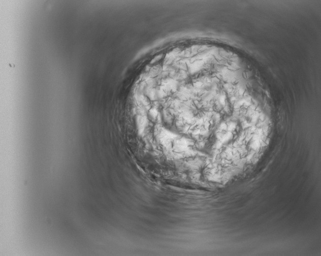 X0000080101494200612301904